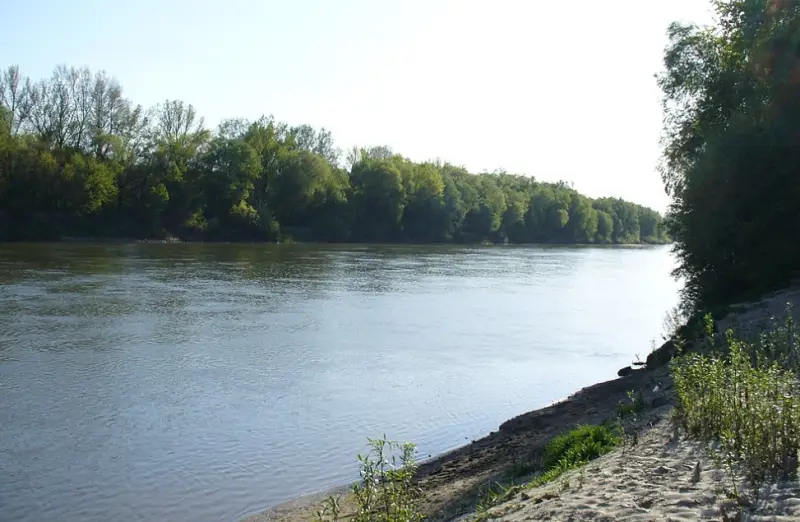Опубликованы кадры организованного побега с Украины в районе реки Тиса группы мужчин