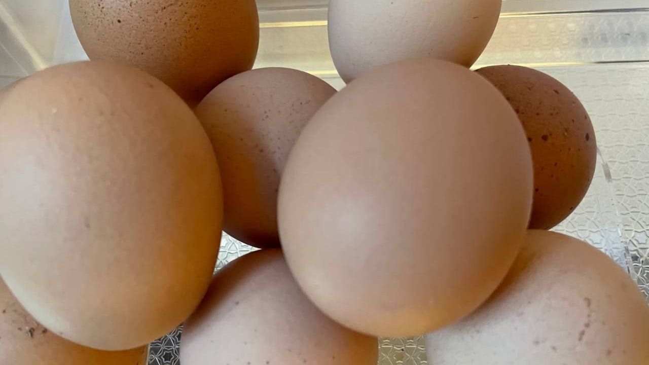 Эксперт рассказала, в каком случае вареные яйца превращаются в яд